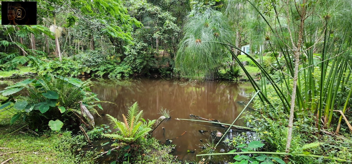 Chácara em , São Roque - Foto 28